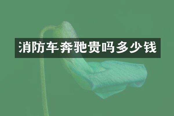 消防车奔驰贵吗多少钱