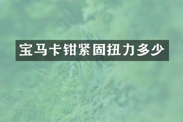 宝马卡钳紧固扭力多少