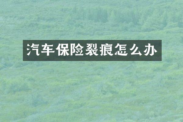 汽车保险裂痕怎么办