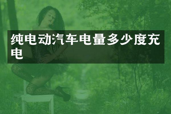 纯电动汽车电量多少度充电