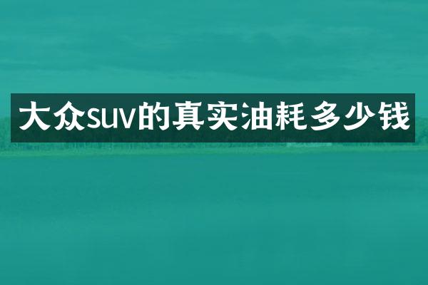 大众suv的真实油耗多少钱