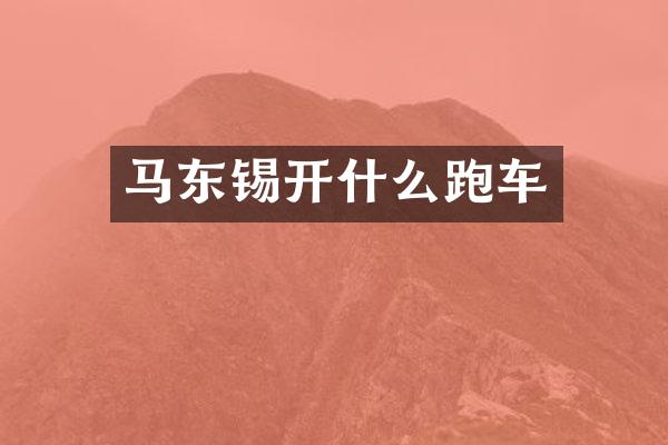 马东锡开什么跑车