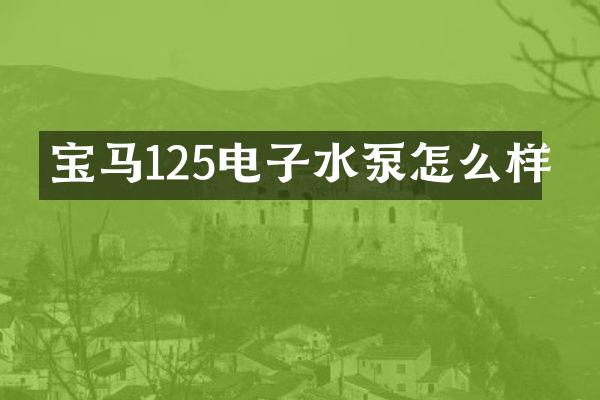 宝马125电子水泵怎么样