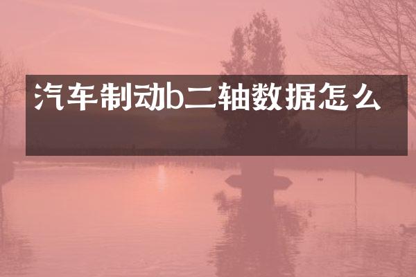汽车制动b二轴数据怎么看