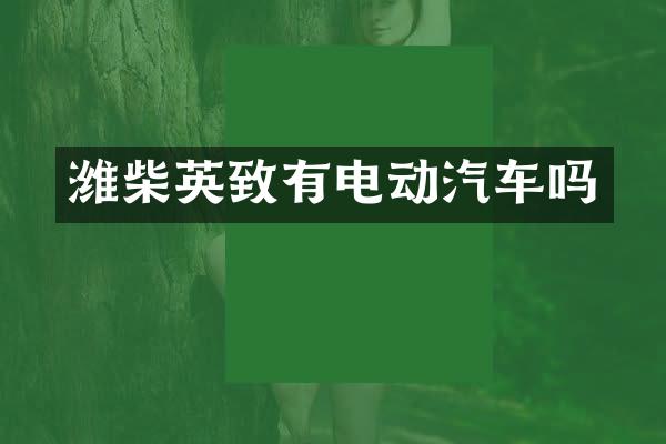 潍柴英致有电动汽车吗