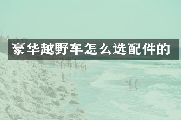 豪华越野车怎么选配件的