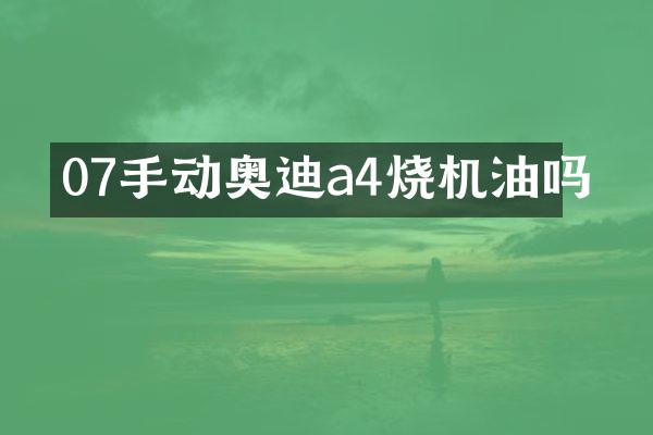 07手动奥迪a4烧机油吗