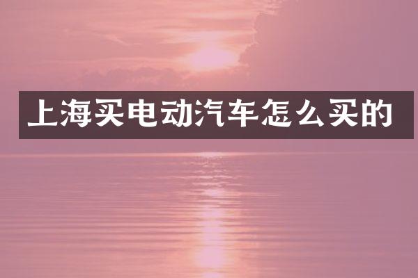 上海买电动汽车怎么买的