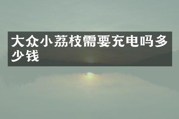 大众小荔枝需要充电吗多少钱