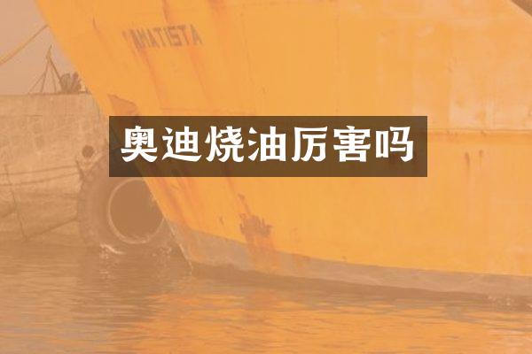 奥迪烧油厉害吗