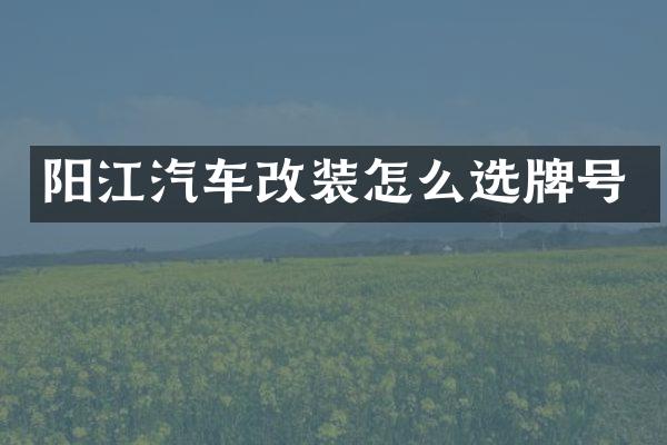 阳江汽车改装怎么选牌号