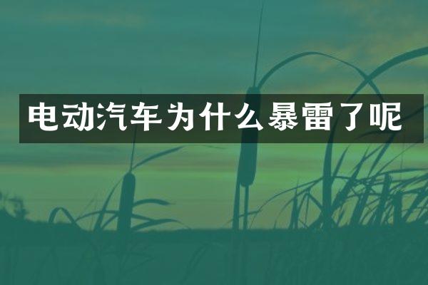 电动汽车为什么暴雷了呢