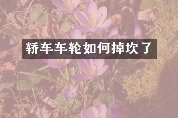 轿车车轮如何掉坎了