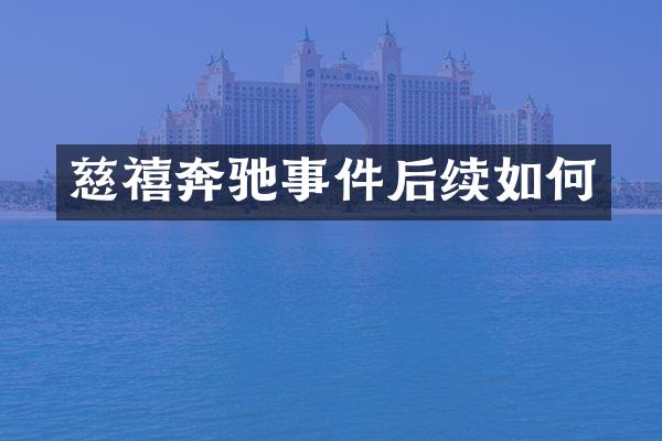 慈禧奔驰事件后续如何