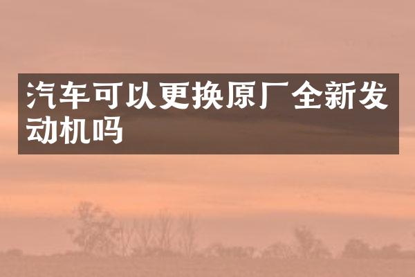 汽车可以更换原厂全新发动机吗