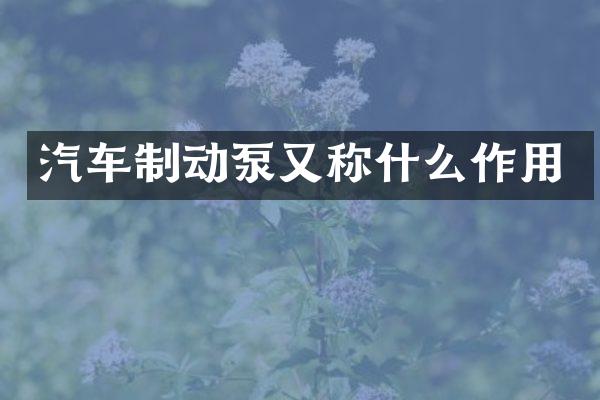 汽车制动泵又称什么作用