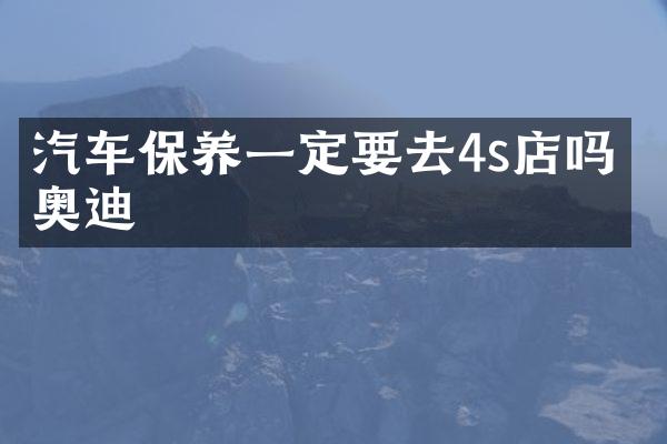 汽车保养一定要去4s店吗 奥迪