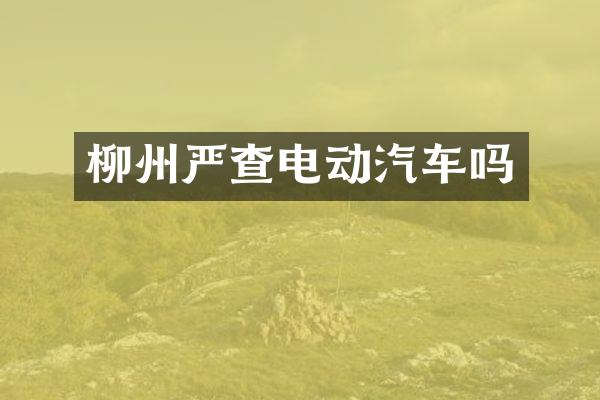 柳州严查电动汽车吗