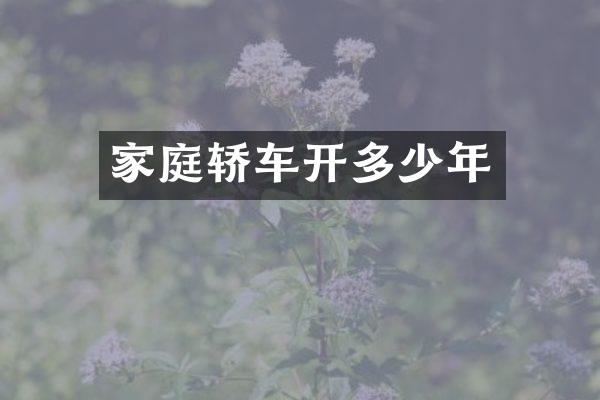 家庭轿车开多少年