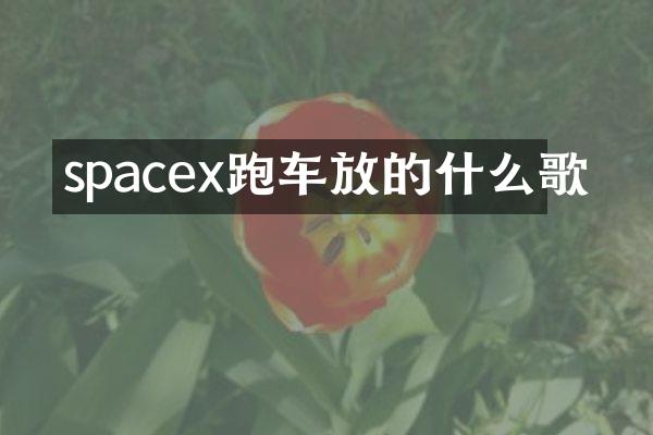 spacex跑车放的什么歌