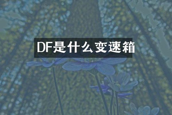DF是什么变速箱
