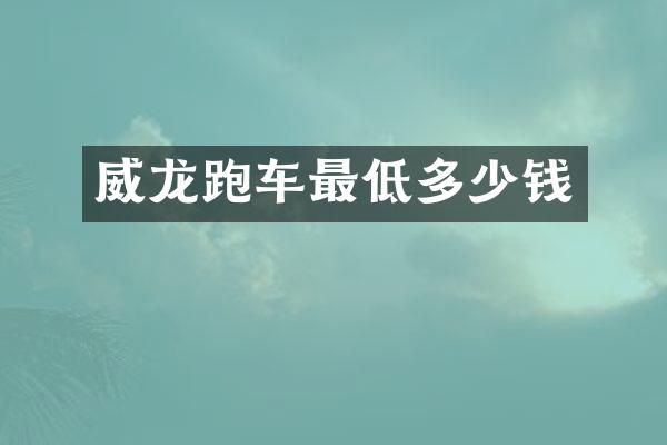 威龙跑车最低多少钱