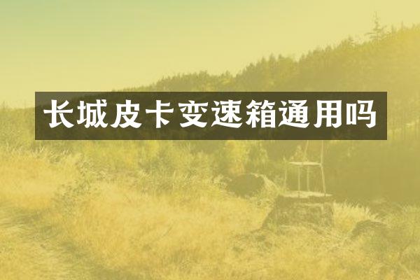 长城皮卡变速箱通用吗