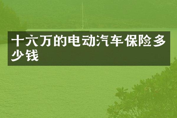 十六万的电动汽车保险多少钱