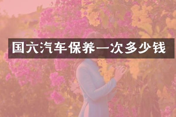 国六汽车保养一次多少钱