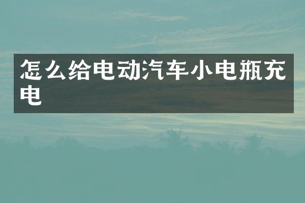 怎么给电动汽车小电瓶充电