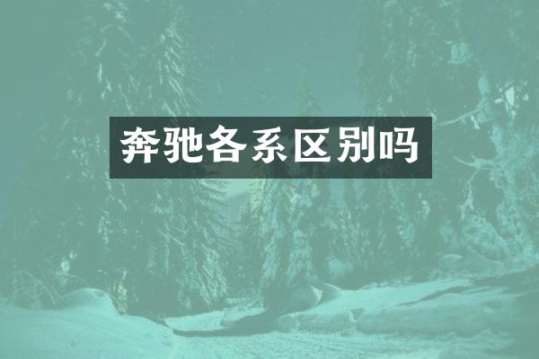 奔驰各系区别吗