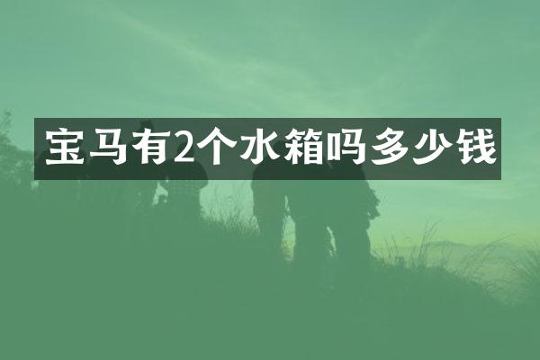 宝马有2个水箱吗多少钱