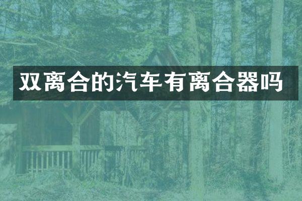 双离合的汽车有离合器吗