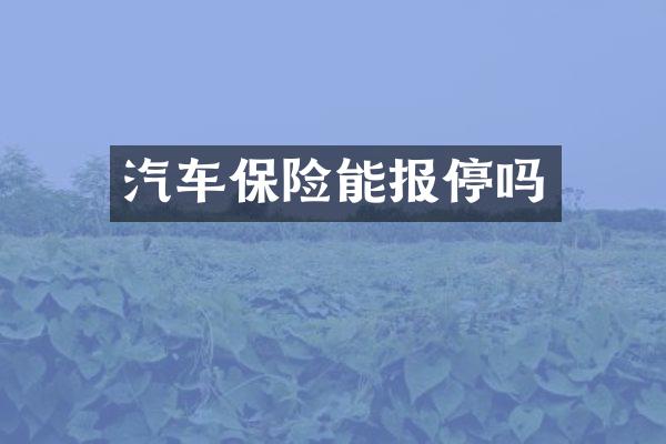 汽车保险能报停吗
