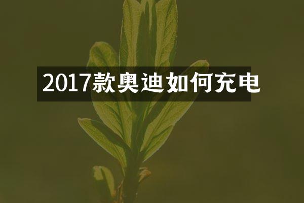 2017款奥迪如何充电