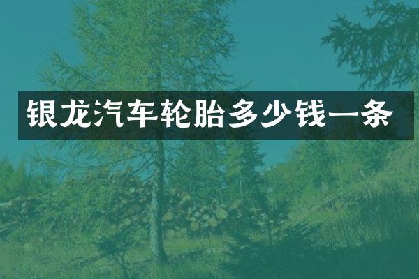 银龙汽车轮胎多少钱一条