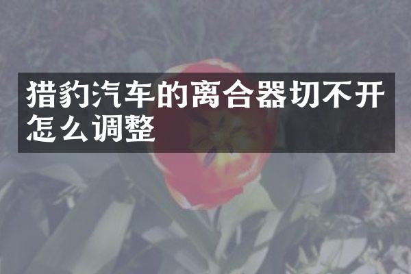 猎豹汽车的离合器切不开怎么调整