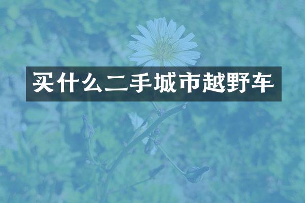 二手城市越野车