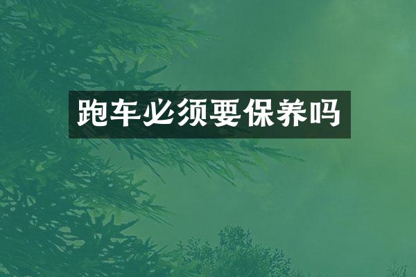 跑车必须要保养吗