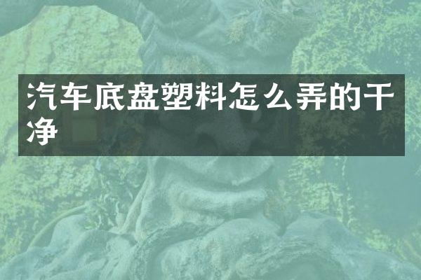 汽车底盘塑料怎么弄的干净