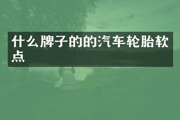 什么牌子的的汽车轮胎软点