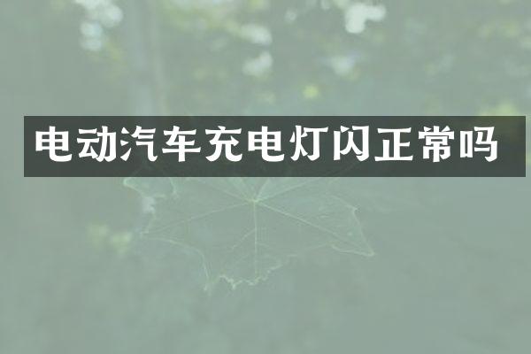 电动汽车充电灯闪正常吗