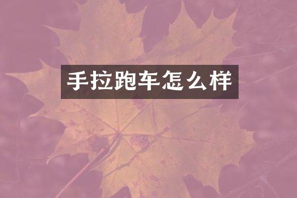 手拉跑车怎么样