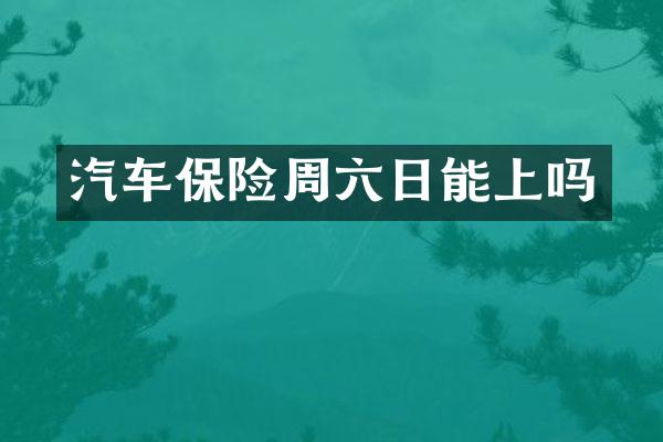 汽车保险周六日能上吗