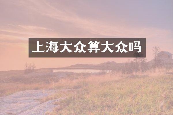 上海大众算大众吗