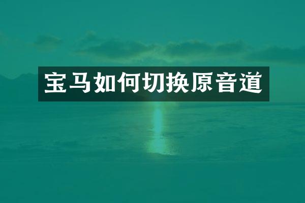 宝马如何切换原音道