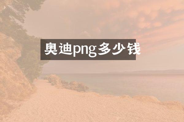 奥迪png多少钱