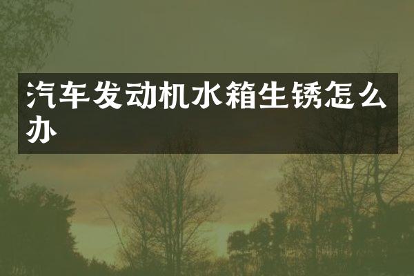 汽车发动机水箱生锈怎么办