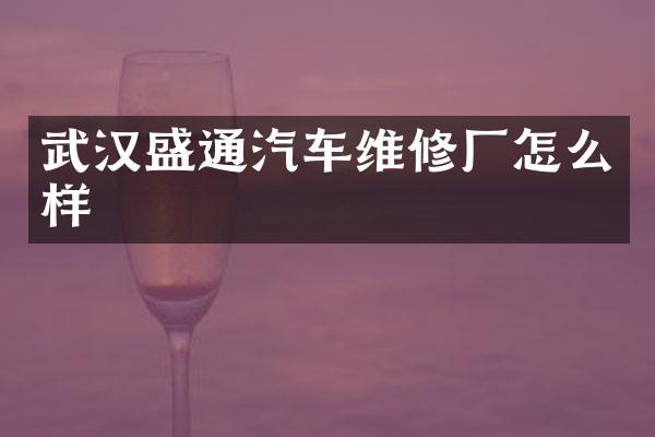 武汉盛通汽车维修厂怎么样