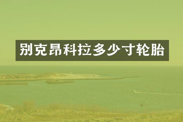 别克昂科拉多少寸轮胎